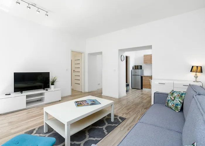 Modern One Bedroom In By Renters Apartment *