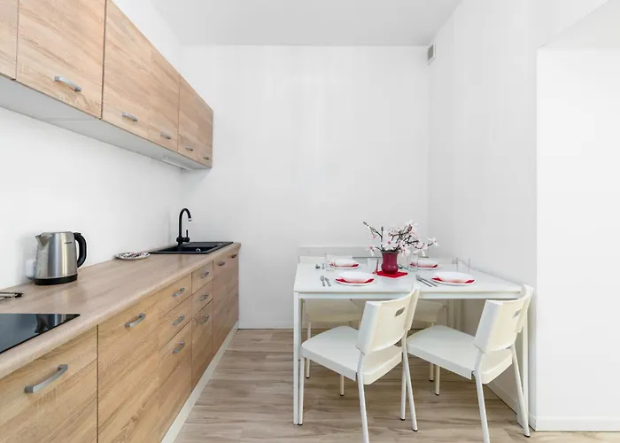 Modern One Bedroom In By Renters Poznan